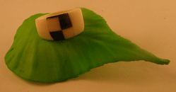 Anillo blanco y negro